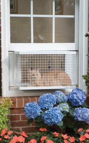 diy cat veranda