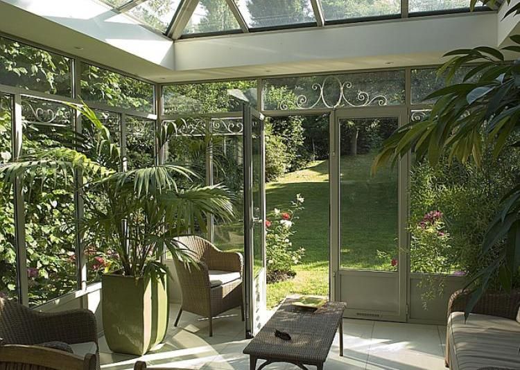 plante verte de veranda