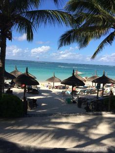 veranda palmar ile maurice avis