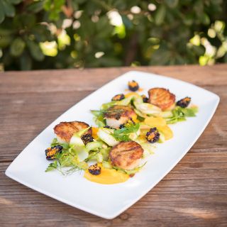 veranda separation cuisine