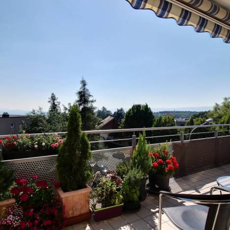 veranda d'occasion en suisse