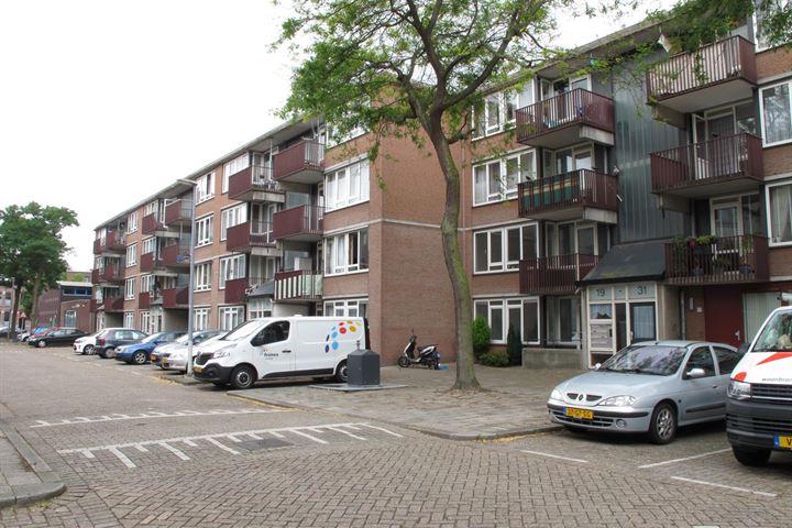 appartement kopen veranda rotterdam