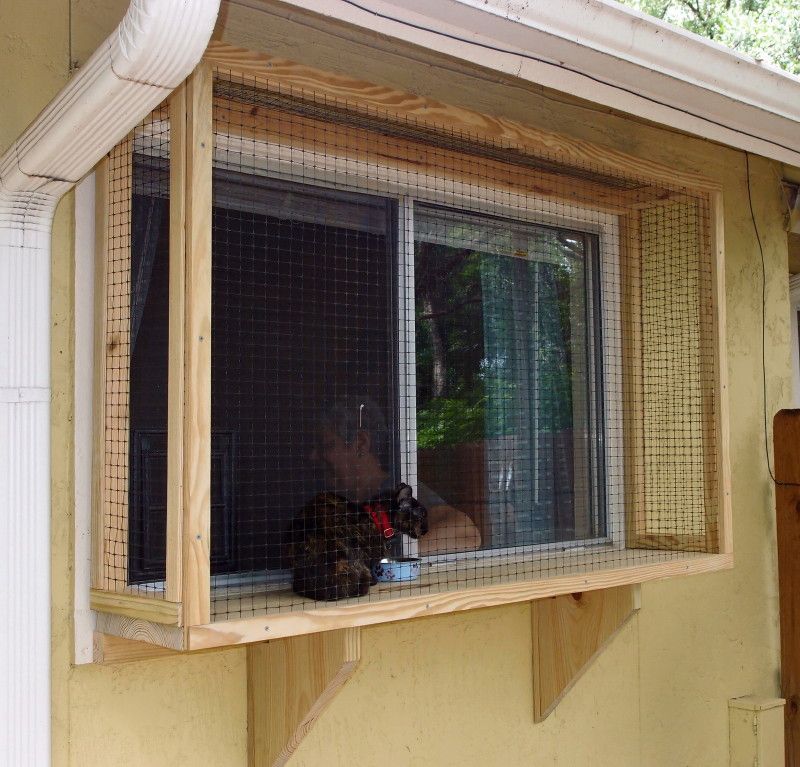diy cat veranda