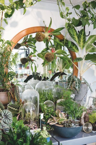 deco fleur veranda