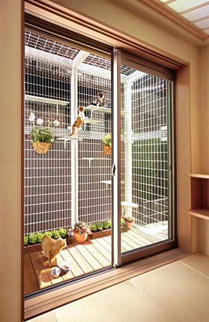 diy cat veranda