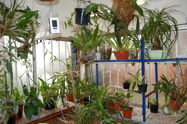 veranda non chauffÃ©e