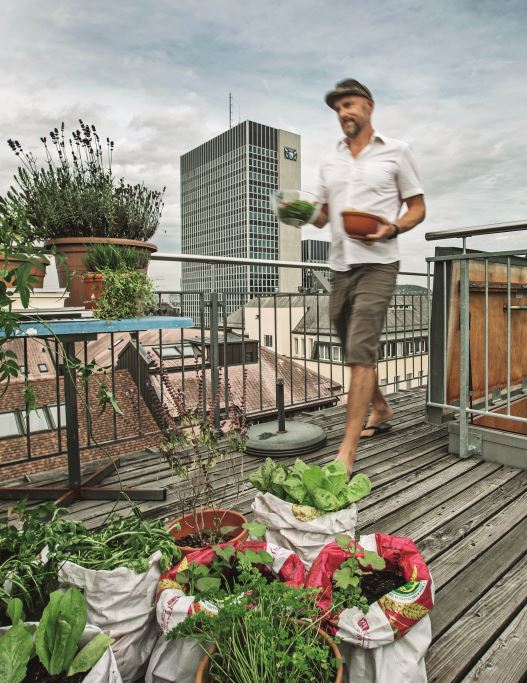 veranda junkies