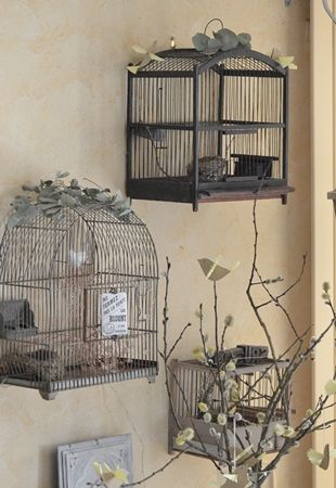 veranda oiseaux