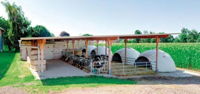 veranda igloo