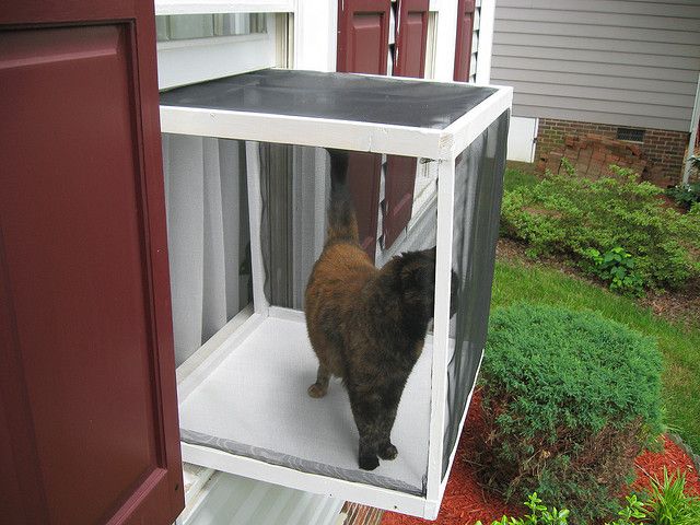 diy cat veranda