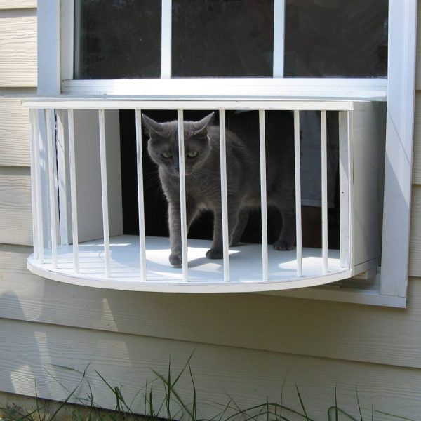 diy cat veranda