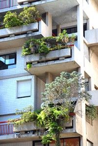 veranda gardening