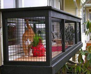 diy cat veranda