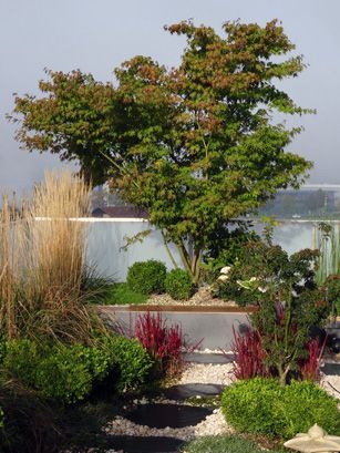 veranda viva