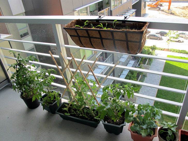 veranda gardening