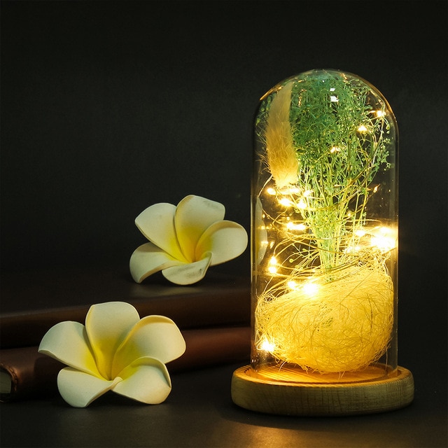 veranda led string light glass cloche