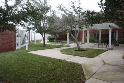 veranda nursing home in harlingen