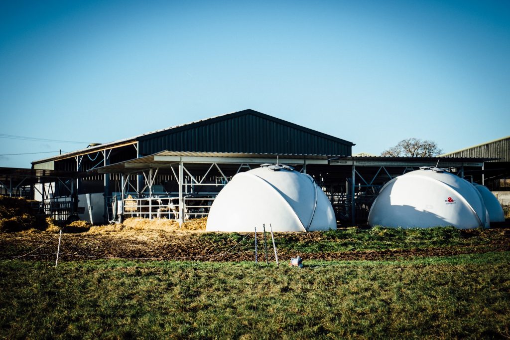 veranda igloo