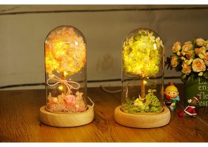 veranda led string light glass cloche