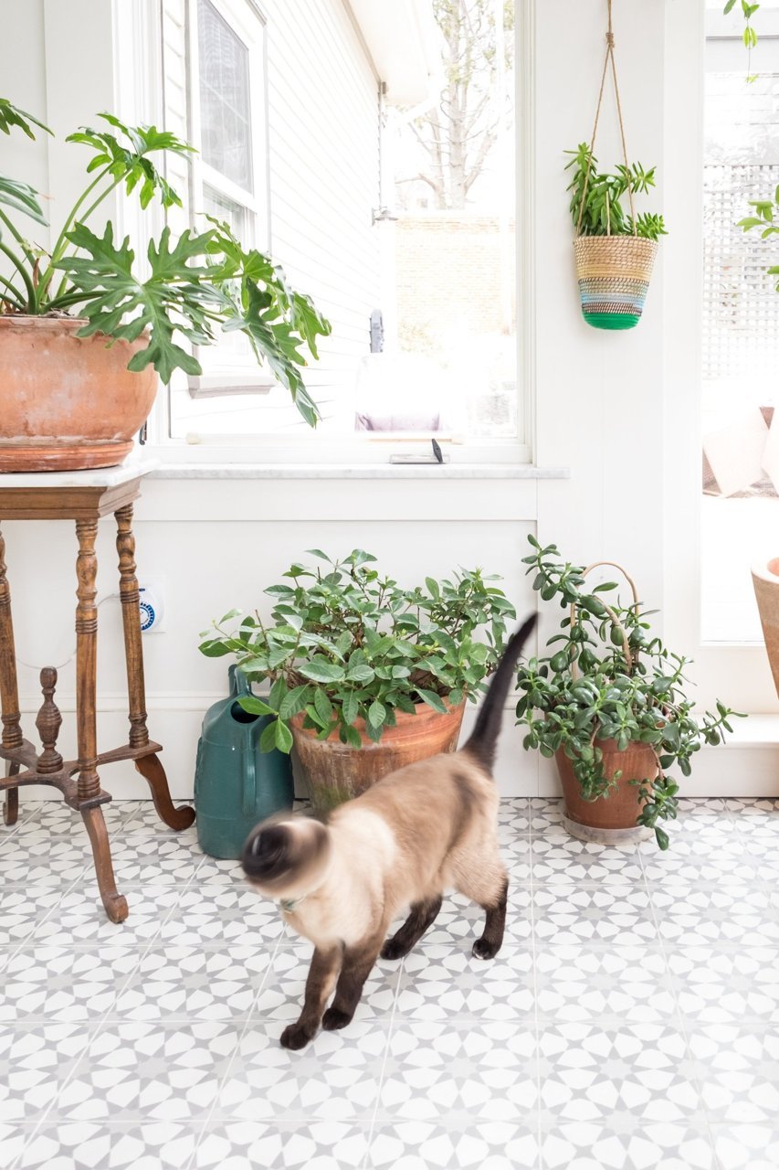 deco plante veranda
