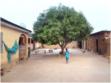 veranda cite de l'habitat