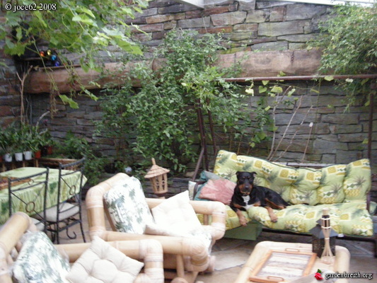 deco fleur veranda