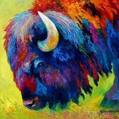 avis sur verand'art