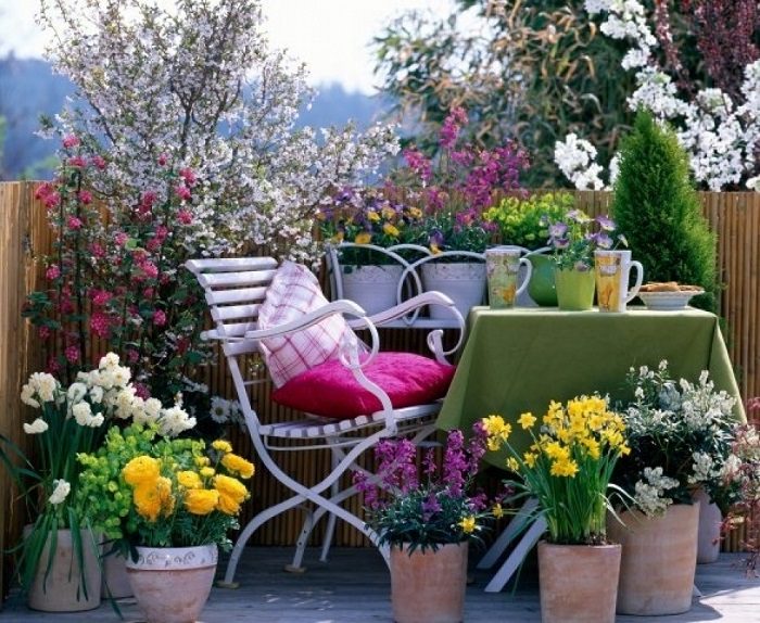 veranda gardening
