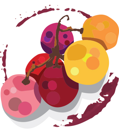 avis sur verand'art