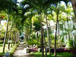 veranda grand baie hotel tripadvisor