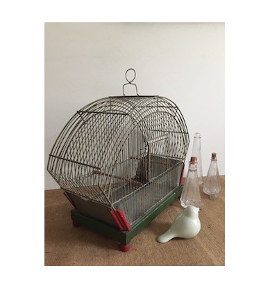 veranda oiseaux