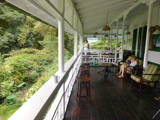 veranda nature
