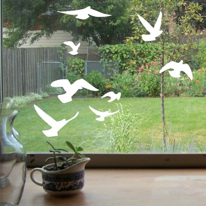 protection oiseaux veranda