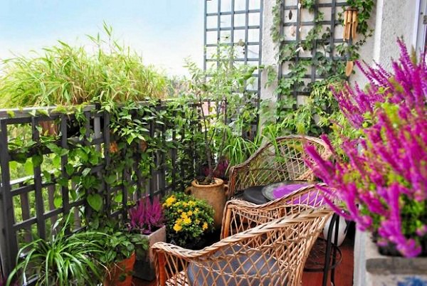 veranda gardening