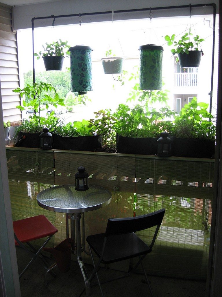 veranda gardening