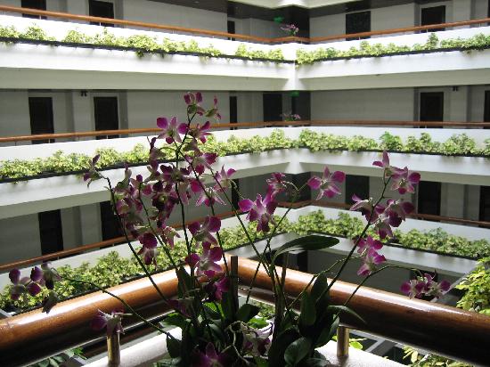 veranda hotel bangkok