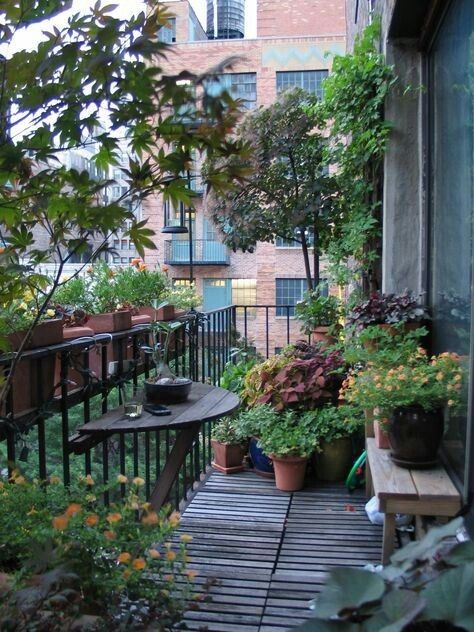 veranda gardening