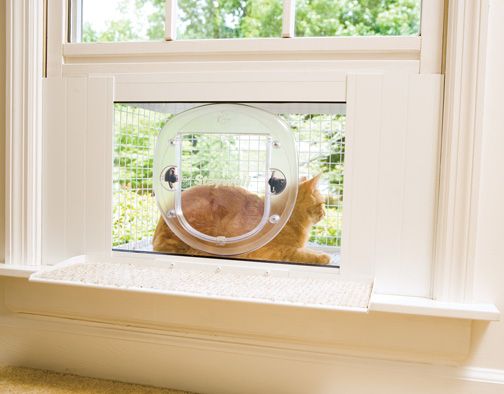 diy cat veranda