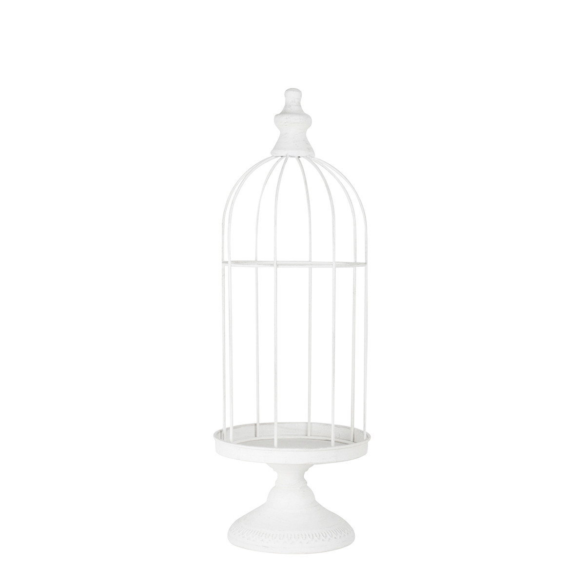 veranda oiseaux