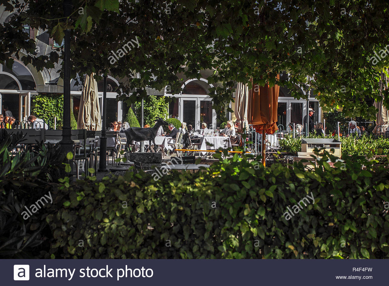 the veranda in english