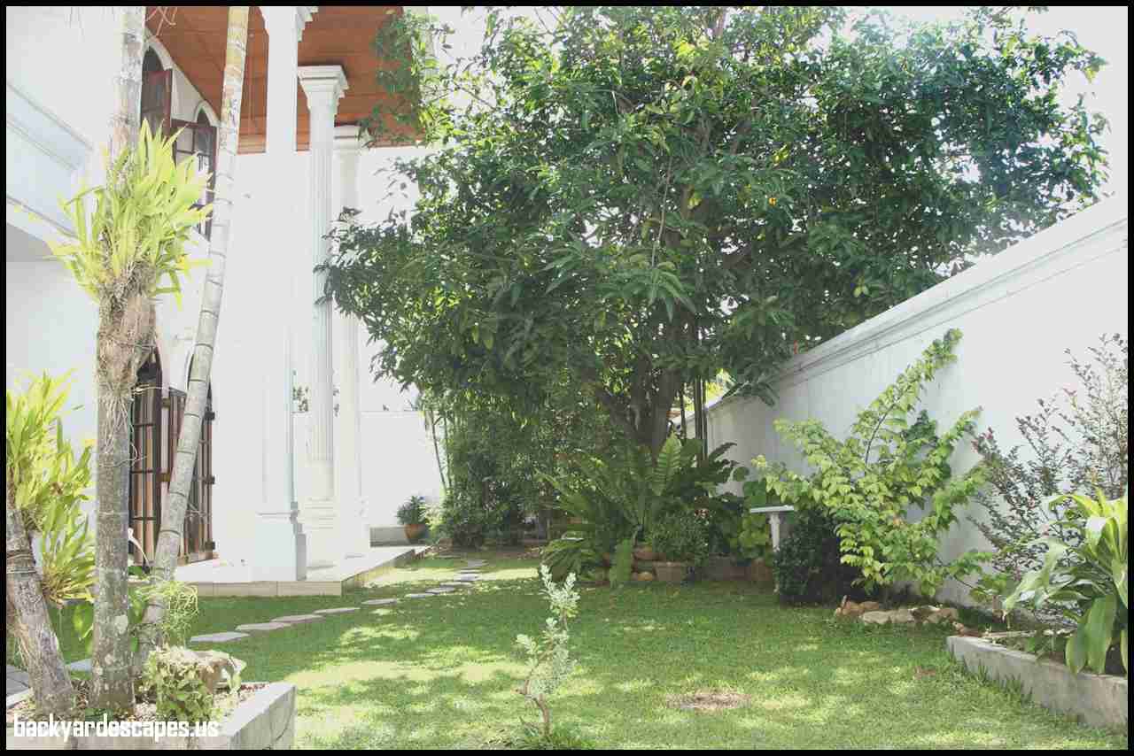 veranda gardens nursing home