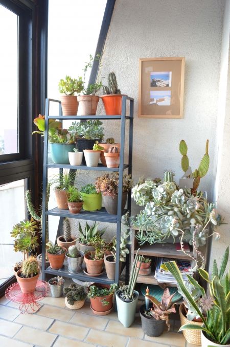 veranda bois marseille