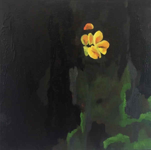 verand'art forum