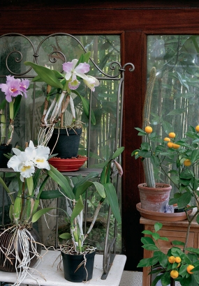 veranda non chauffÃ©e