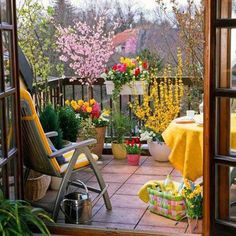 veranda garden and design