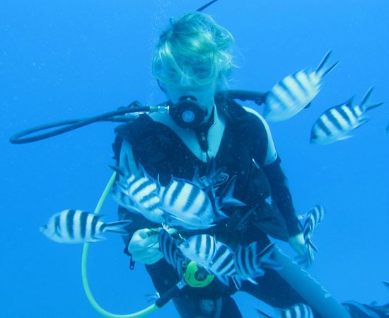 veranda pointe aux biches diving