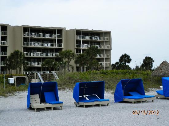 veranda beach club longboat key fl