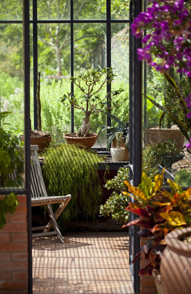 plantes vertes pour veranda non chauffÃ©e
