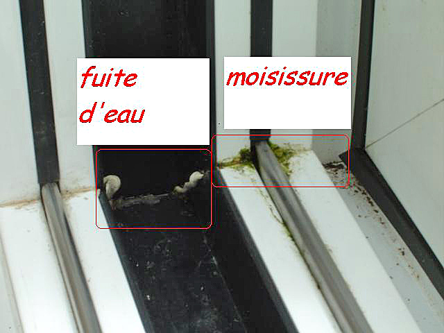fuite veranda alu