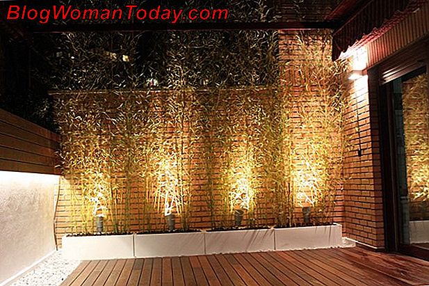 veranda light.fr